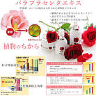 Ginza Tomato CHIECO DD лосьйон для обличчя з екстрактом плаценти троянди, 50 мл, фото 2