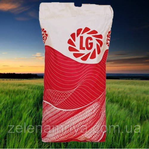 Насіння кукурудзи  УЕСЛІ ( Limagrain ) ФАО – 230