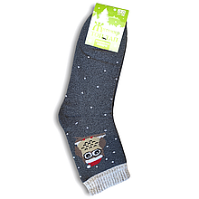 Шкарпетки жіночі махрові зимові Житомир 36-41 сова сіра
