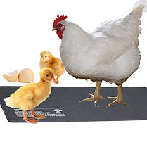Нагрівливий мат, водонепроникний Terrario Repti Pad PVC 20W 20x35sм (repti-pvc-20w), фото 5