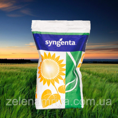 Насіння соняшнику САЙБЕРІК HTS ( Syngenta ), фото 1