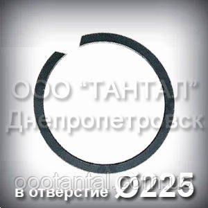 Кільце 225х3,5 ГОСТ 13941-86 концентричне наполегливе внутрішнє А225