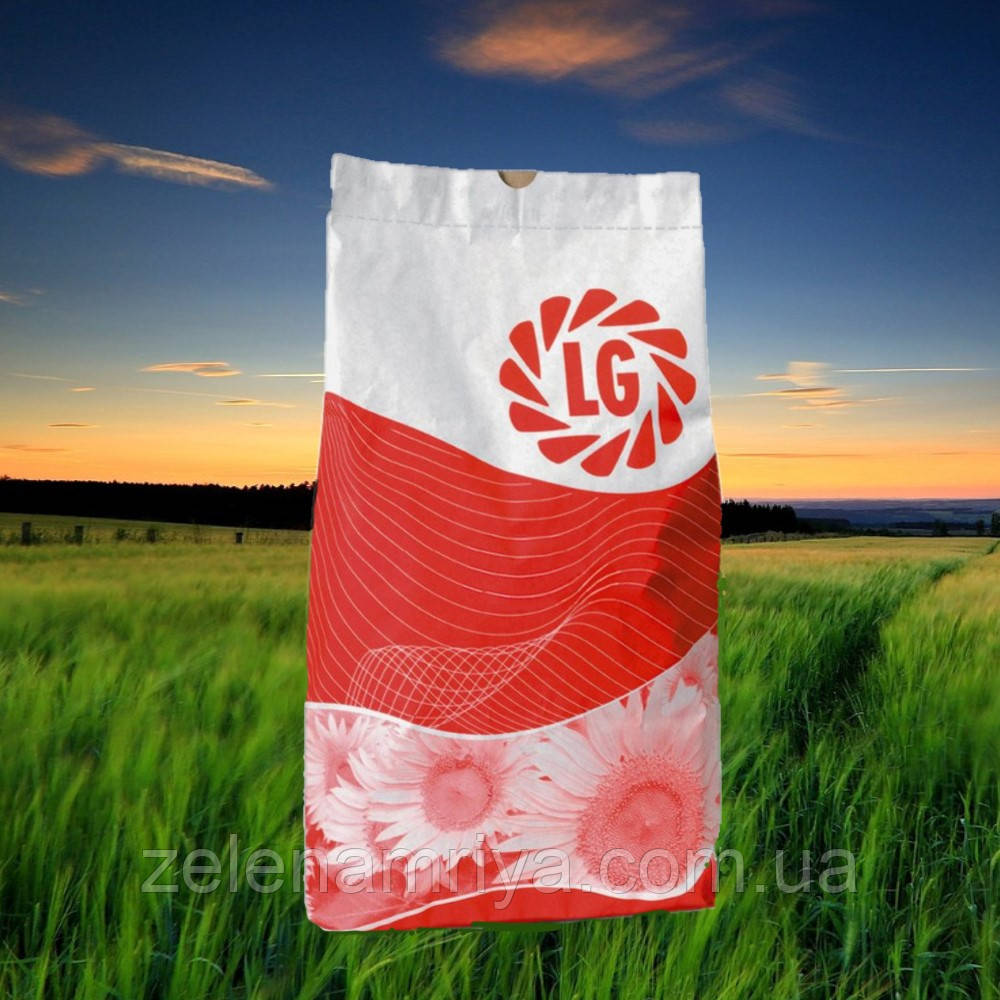 Насіння соняшнику ТУНКА ( Limagrain ), фото 1