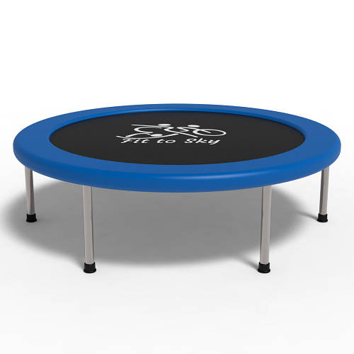 Батут детский Fit to Sky 102 см (синий) (Fittosky) Для детей Для дома и ...