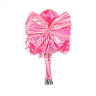 Ігровий набір з лялькою Dream Seekers - Белла 13836, фото 5