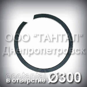 Кільце 300х3,5 ГОСТ 13941-86 концентричне наполегливе внутрішнє А300