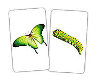 Набор карточек «Животные и детёныши», обучающая игра для малышей, карточки с животными, развивающие карточки