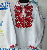 Вишиванка для хлопчика "Стиль"