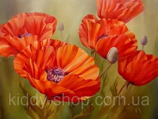 Діамантова мозаїка. Картина на підрамнику "Маки", розмір 40х30 см, фото 1
