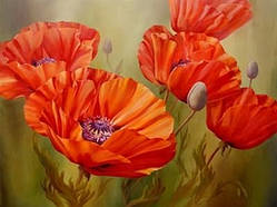 Діамантова мозаїка. Картина на підрамнику "Маки", розмір 40х30 см