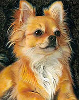 Діамантова мозаїка. Картина на підрамнику "Як тебе звуть", розмір 40х30 см