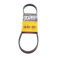 Ремінь 4PK780 Contitech (Німеччина) генератора поліклинові | многоручейковый 4PK 780