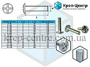 Гвинт меблевий RL М8 х 70 мм (100 шт.), фото 5