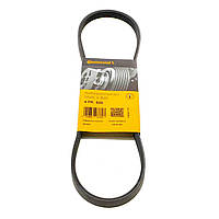 Ремінь 4PK825 Contitech (Німеччина) генератора поліклинові | многоручейковый 4РК 825