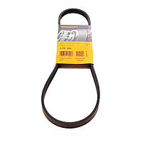 Ремінь 4PK836 Contitech (Німеччина) генератора поліклинові | многоручейковый 4РК 836