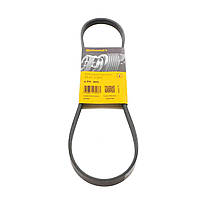 Ремінь 4PK845 Contitech (Німеччина) генератора поліклинові | многоручейковый 4РК 845