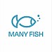 Manyfish