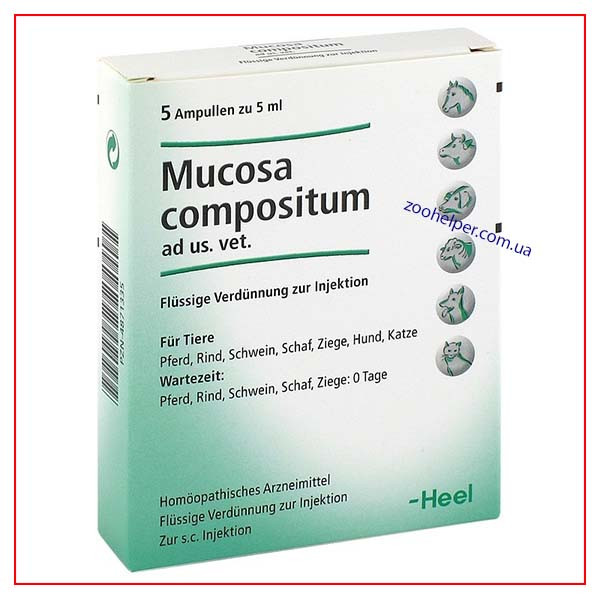 Mucosa Compositum 5мл №1 амп. (Мукоза композитум Хеель) Heel
