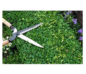 Садові ножиці для живої огорожі Okatsune KST231, фото 2