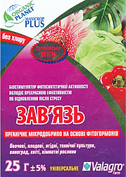 Максикроп зав'язь 25 мл стимулятор цвітіння і зав'язування плодів, Vаlagro