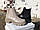 Жіночі зимові черевики Челсі чорна шкіра, фото 5