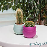 Горщик для квітів Colorful 1,3 л біло-сірий, фото 8