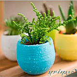 Горщик для квітів Colorful 1,3 л біло-сірий, фото 3