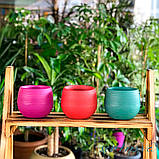 Горщик для квітів Colorful 1,3 л біло-сірий, фото 9