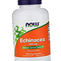 Ехінацея NOW Echinacea 400 mg 250 капс, фото 3