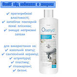 Засіб від плісняви з хлором, Джерелія, 500 мл, фото 4