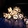Гірлянда Троянди LED 12 лампочок Теплий Білий, 500 см, прозорий провід, перехідник (1652-07), фото 4