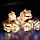 Гірлянда Троянди LED 12 лампочок Теплий Білий, 500 см, прозорий провід, перехідник (1652-07), фото 5
