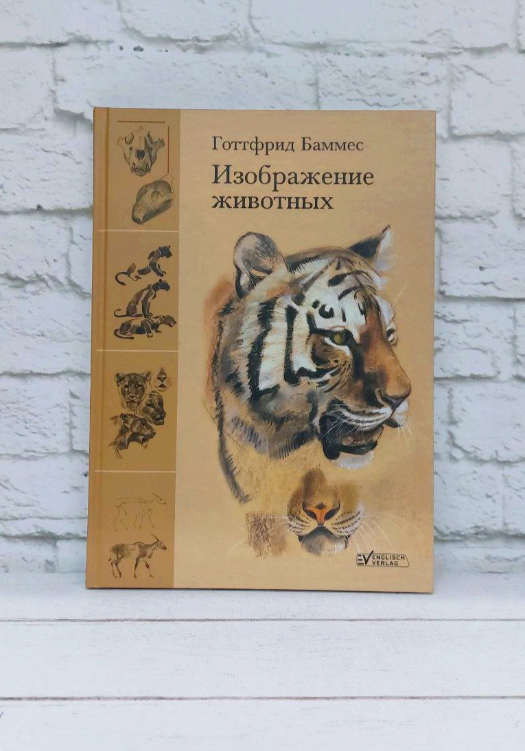 Купить Книгу Готтфрид Баммес Образ Человека