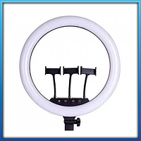 Кільцева LED-лампа SLP-G63 3 кріплення / пульт (55 см)