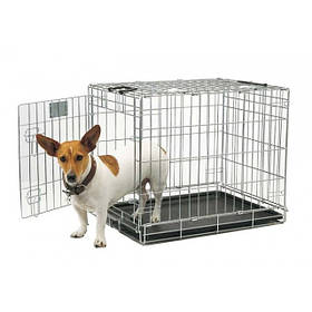 Клітини і перенесення для собак