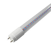 Фитолампа для растений, LED лампа Velmax V-T8-Fito, 9W, 600мм, G13, Full spectrum