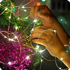 Новогодняя гирлянда 20 LED, Длина 2,5 M голдшоп, фото 3