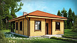 MS-006. Варіант будинку придатний як для дачного відпочинку, так і для цілорічного проживання, фото 2