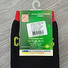 Шкарпетки чоловічі новорічні махрові "Слід Лева" 42-43р машина асорті 20040208, фото 8