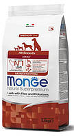 MONGE DOG All breeds Adult ягненок с рисом - 2,5 кг