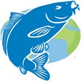"FISHLAND" - інтернет магазин товарів для рибалки