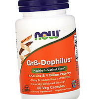 Бактерії NOW Gr8-Dophilus 60 капс