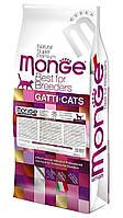 MONGE CAT  Indoor - 10 кг