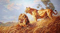 Набор для вышивания Dimensions 03866 African Lions Африканские львы