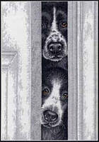 Набор для вышивания Dimensions 70-35400 Подглядывающие щенки / Peeking Pups