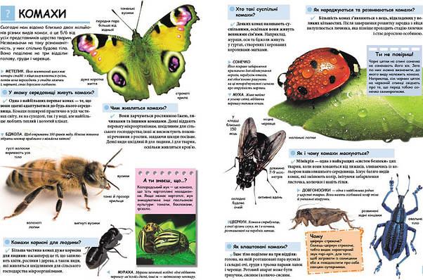 Пегас Ілюстрована дитяча енциклопедія у запитаннях і відповідях, фото 3