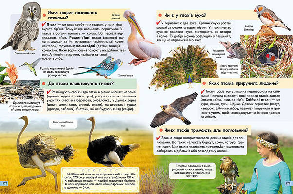 Енциклопедія для дітей "Чомусикам про все на світі у запитаннях і відповідях" Пегас, фото 5