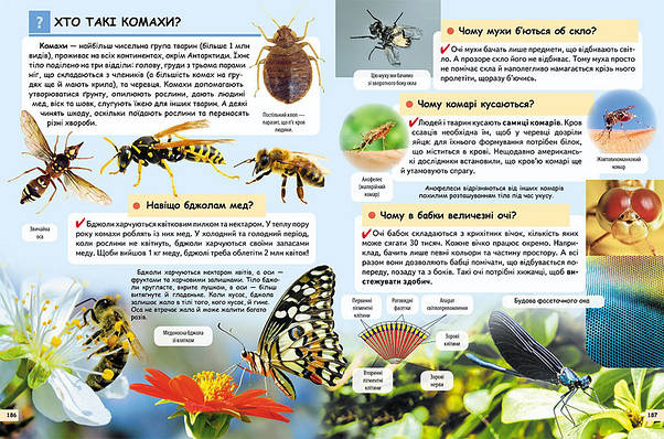 Енциклопедія для дітей "Чомусикам про все на світі у запитаннях і відповідях" Пегас, фото 3