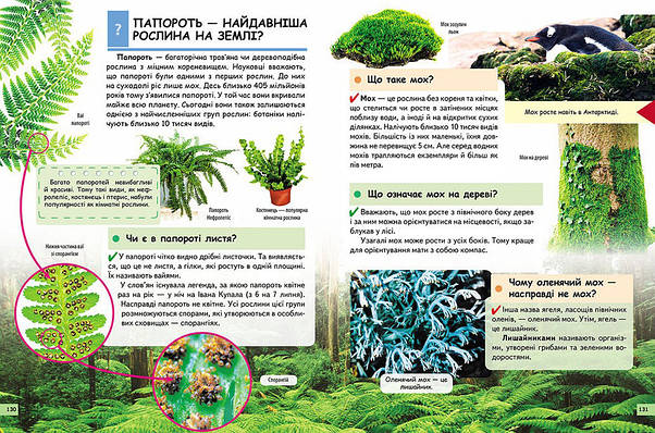 Енциклопедія для дітей "Чомусикам про все на світі у запитаннях і відповідях" Пегас, фото 4
