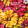 Фоаміран 2мм Червоний TM Volpe Rosa, фом для декору рулонний, ширина 1м, фото 3